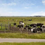 Feriehus C11602-norre-nebel-tippervej-3 *